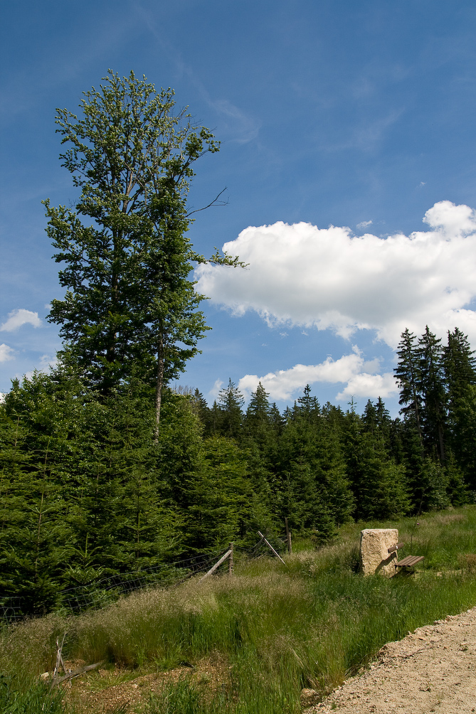 Juni 27, 2008