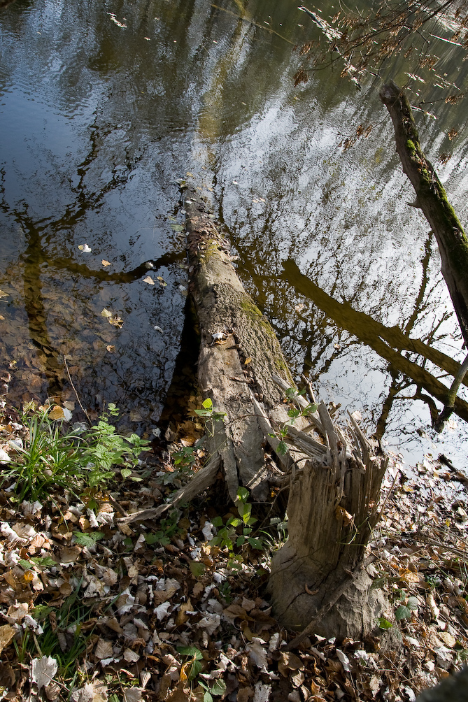 Oktober 26, 2008